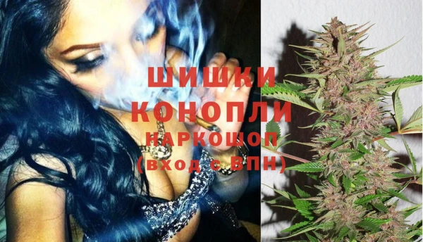 дживик Медвежьегорск