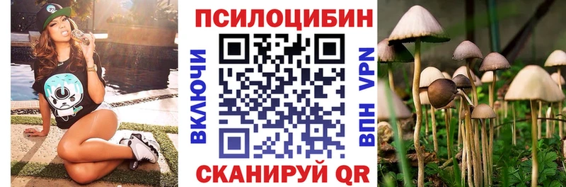 сколько стоит  Нарткала  Галлюциногенные грибы MAGIC MUSHROOMS 
