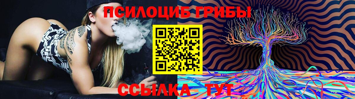 Нарткала  Псилоцибиновые грибы Psilocybe  Вход с VPN 
